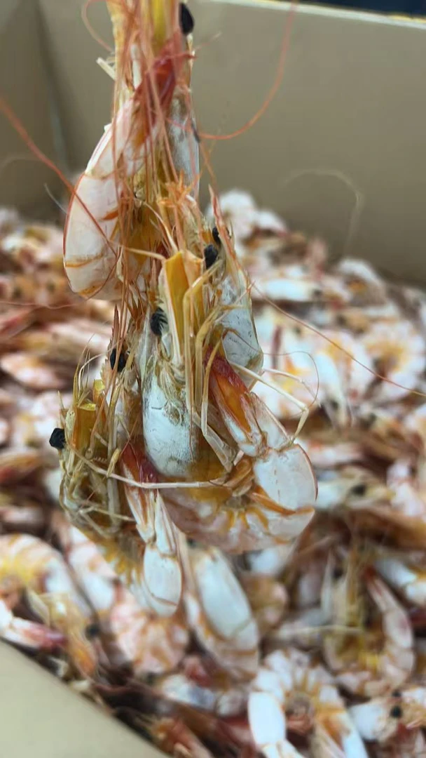 汕尾本港马宫白刺虾干鲜甜无沙补钙即食海鲜零食