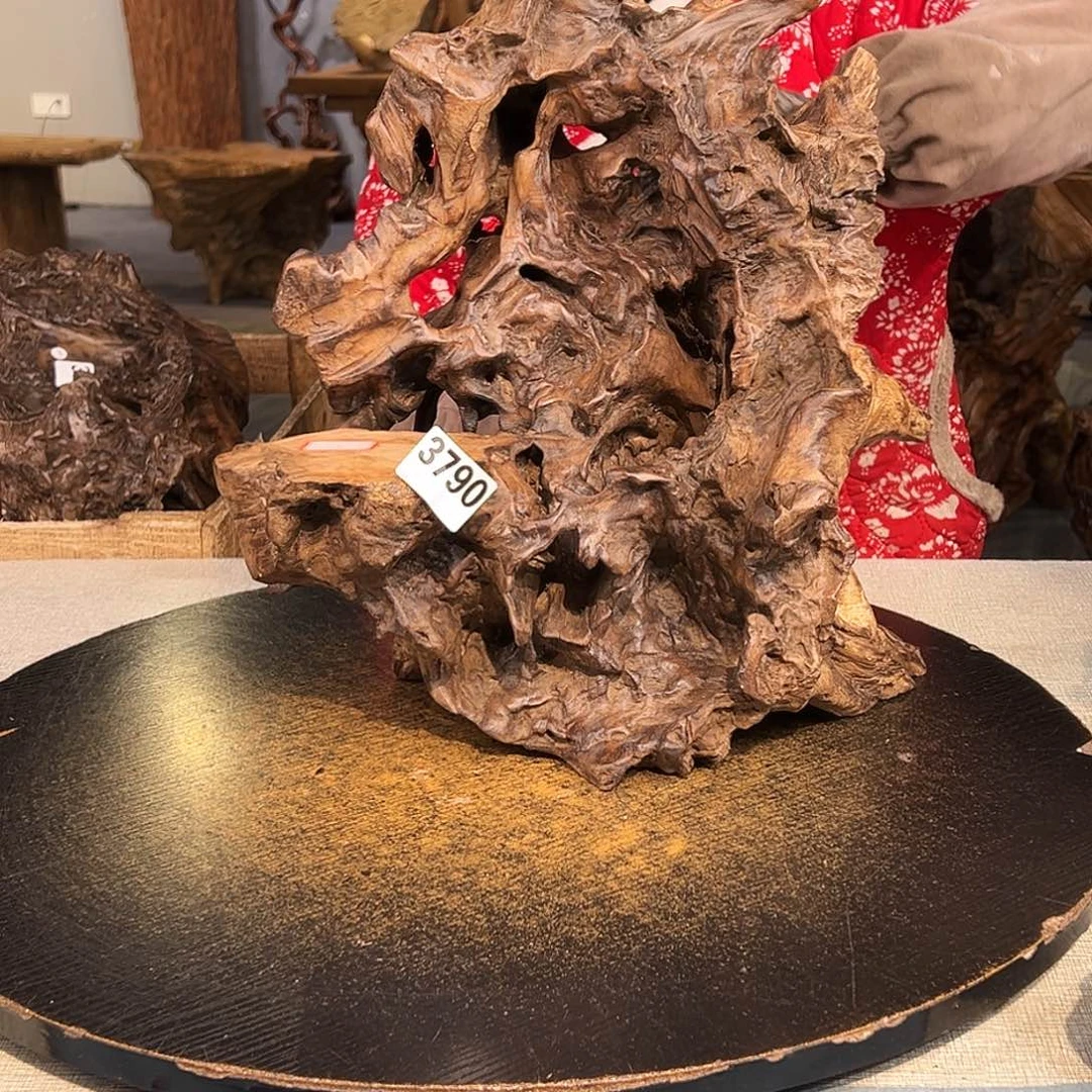 木天**客3790ggggggggggg