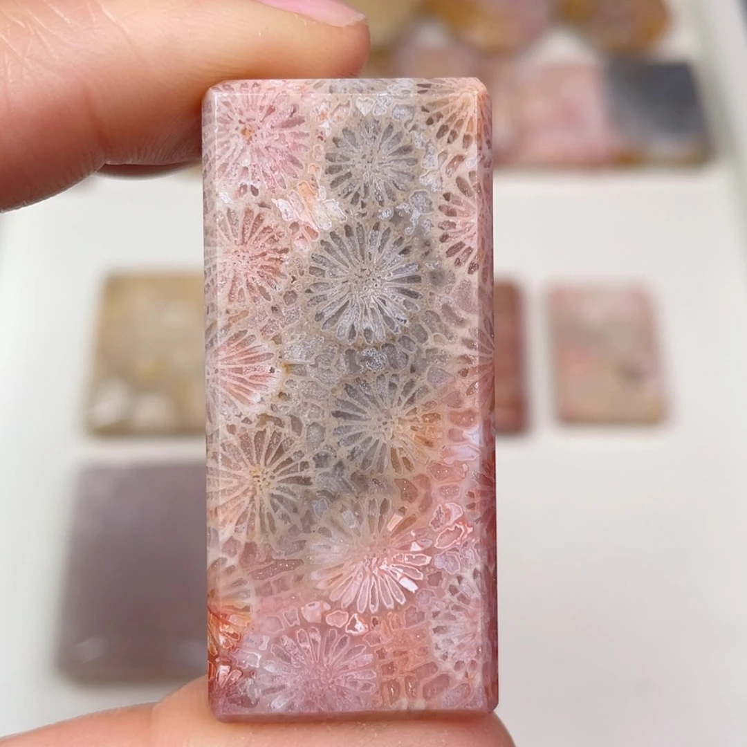 【闪购商品】未镶嵌吊坠(赠链)硅化玉