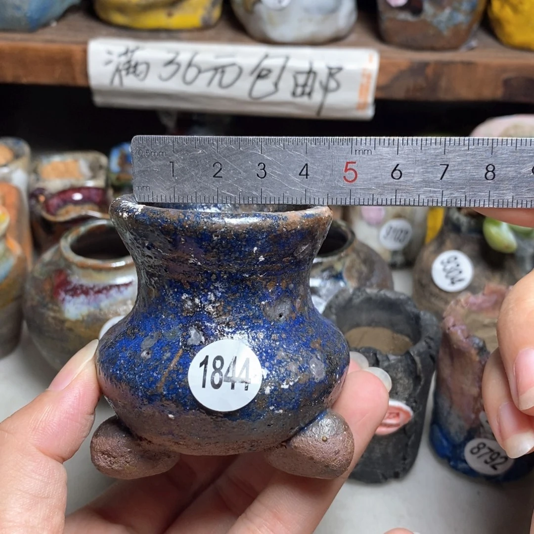 拍5送一个小礼物