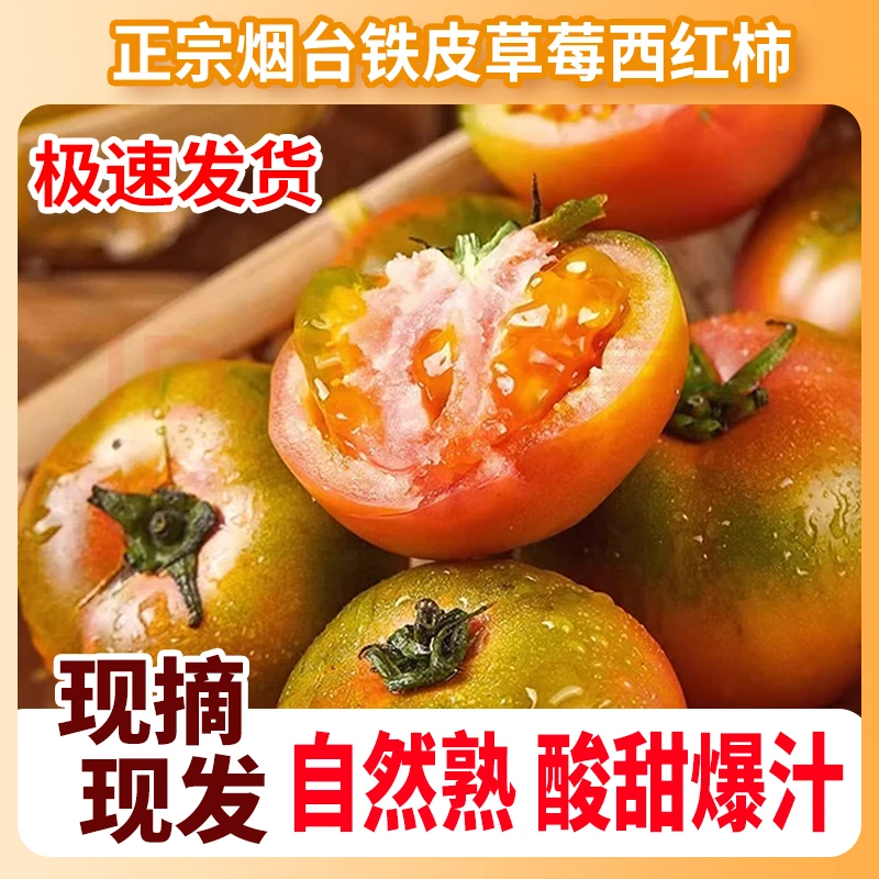 烟台草莓柿子新鲜有味水果铁皮番茄当季山东孕妇绿腚整箱西红柿