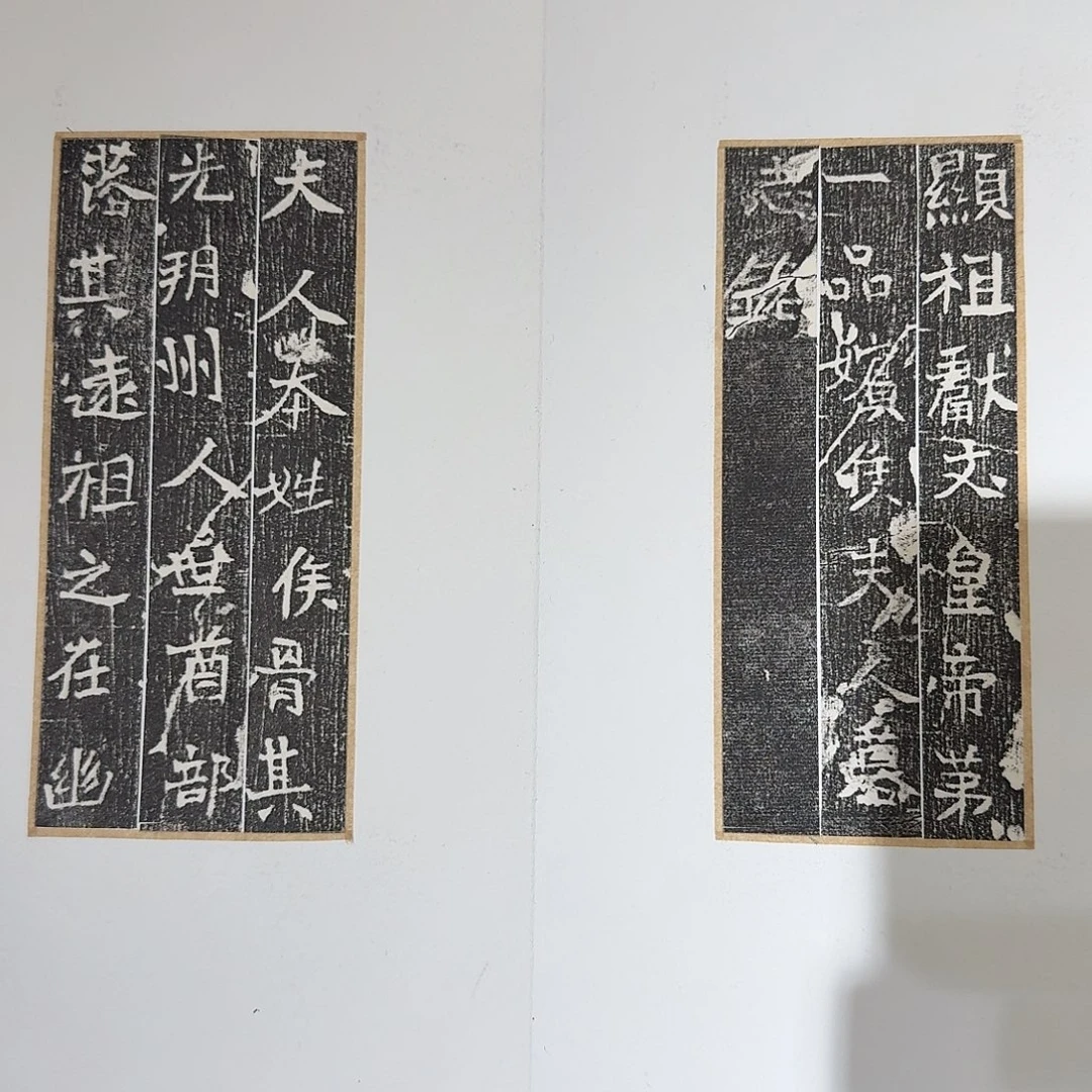 昌化石印石侯夫人11111111