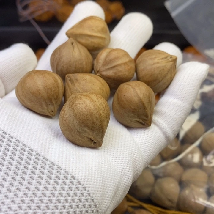 橄榄核手串/手链太****尊2.2蒜头核02