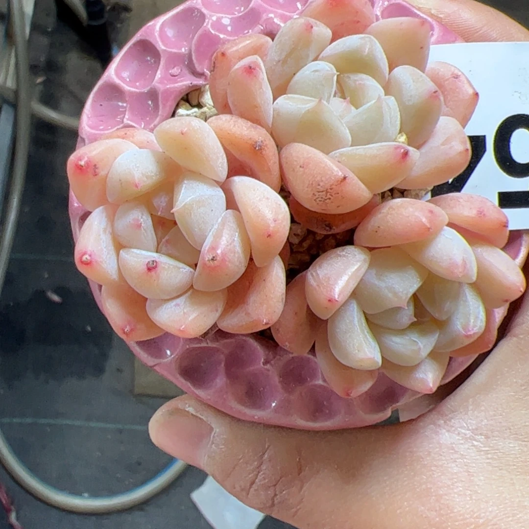 654 满38包邮一物一拍