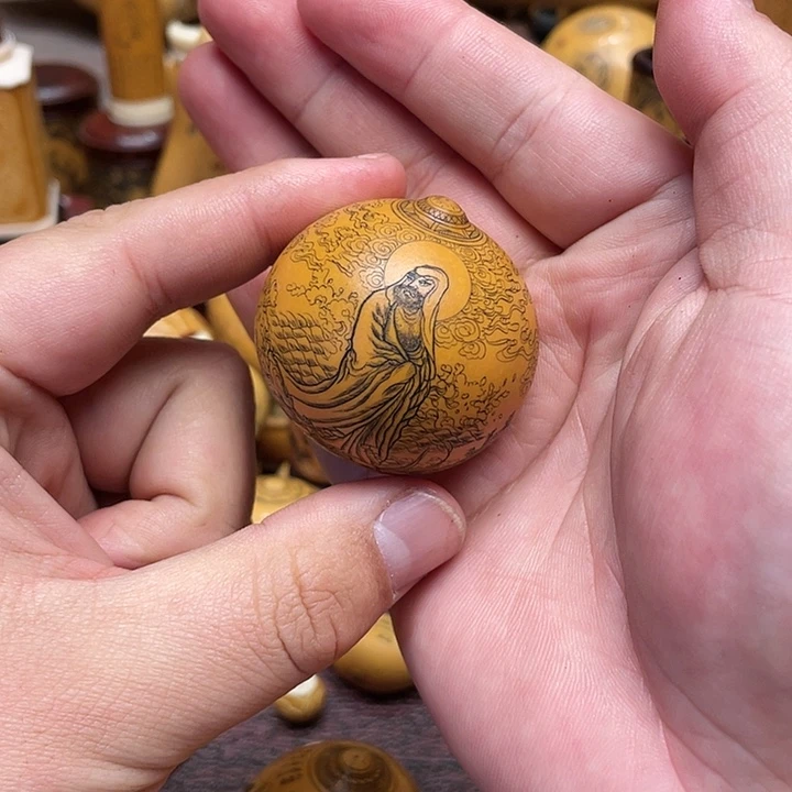我是一只小小鸟地域鬼