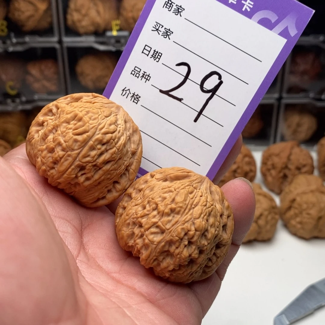 41全品泥鳅背狮子头