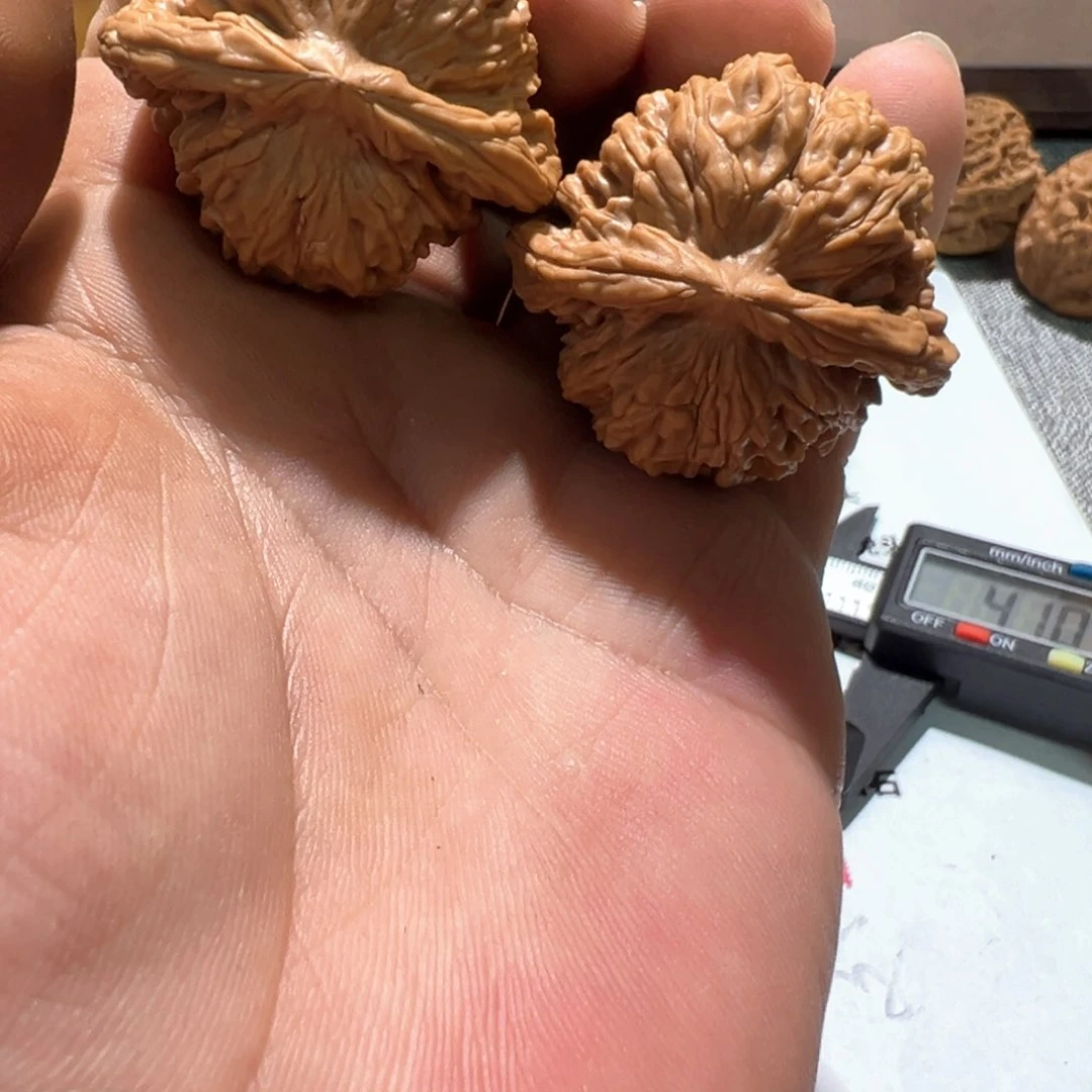 核桃手串/手链41尺蓟县楼富贾