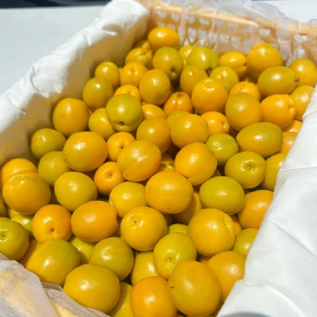 【珍珠油杏】珍珠小油杏自然熟爆甜爆汁放软再吃