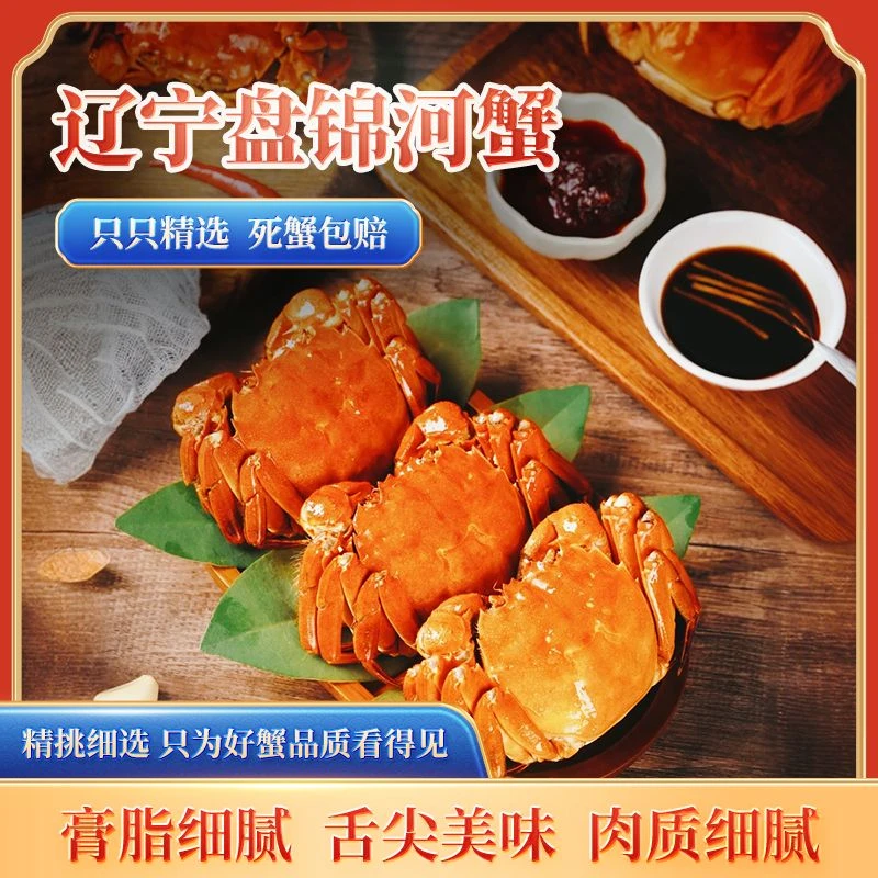 【活蟹】盘锦河蟹(2.0-1.7两/只)母蟹  10只/16只 鲜活发货