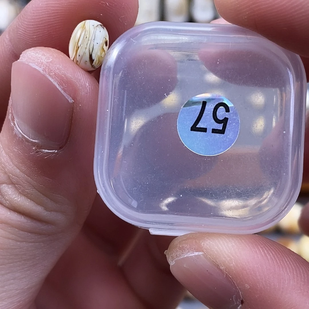 琥珀裸石未镶嵌蜜蜡