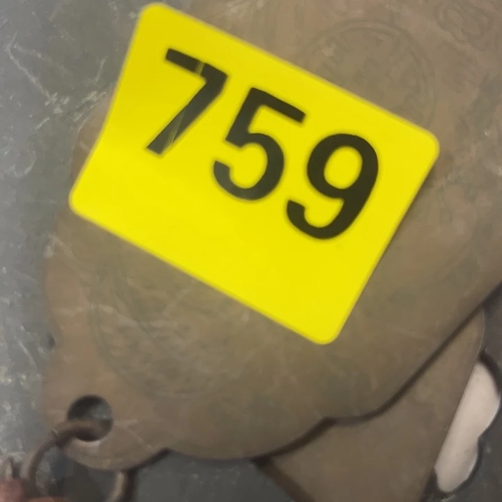 香榧木李*子民俗老物件感谢支持