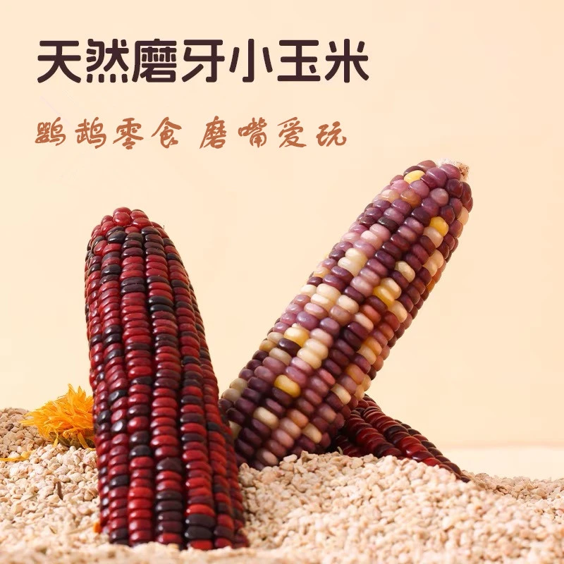 鹦鹉啃咬玉米仓鼠磨牙玉米棒天然粗纤维营养适口性丰富小宠零食