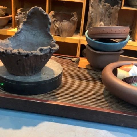 花盆紫砂紫砂月亮