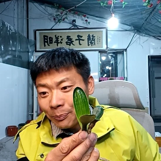 @风的自由39一盆两颗