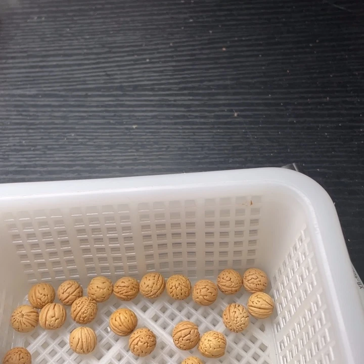 S****散籽批发小桃核150