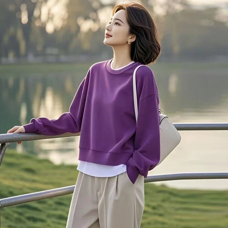 2025年春秋季新款时尚百搭气质设计感卫衣女装上衣长袖拼色休闲风