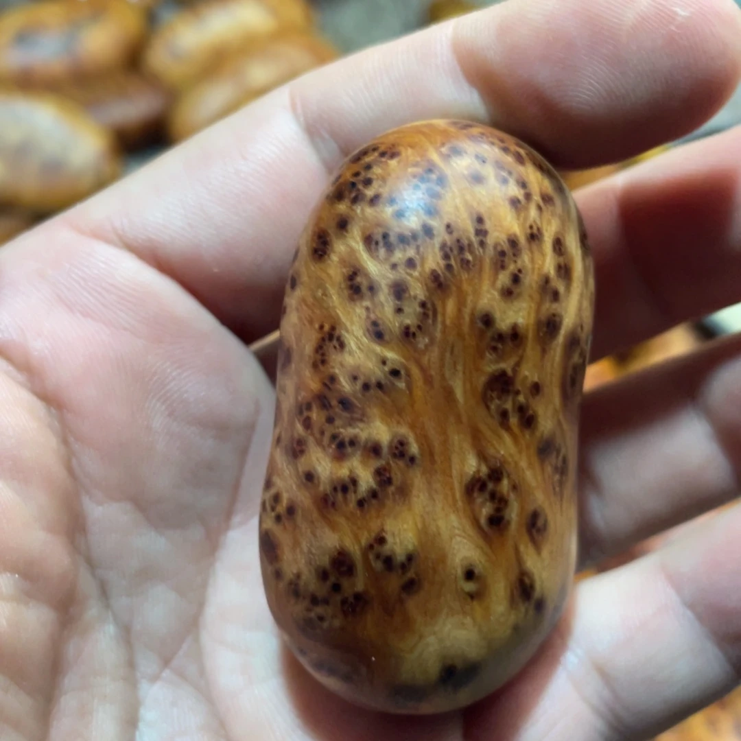 柏木（崖柏）其他把