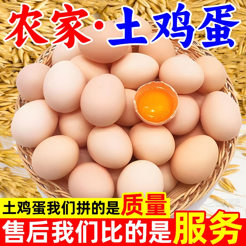 散养土鸡蛋农家土鸡蛋柴鸡蛋谷物蛋笨鸡蛋50枚装