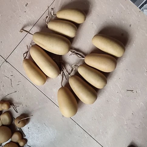 嘿***⁷天然葫芦，10个冬瓜葫芦