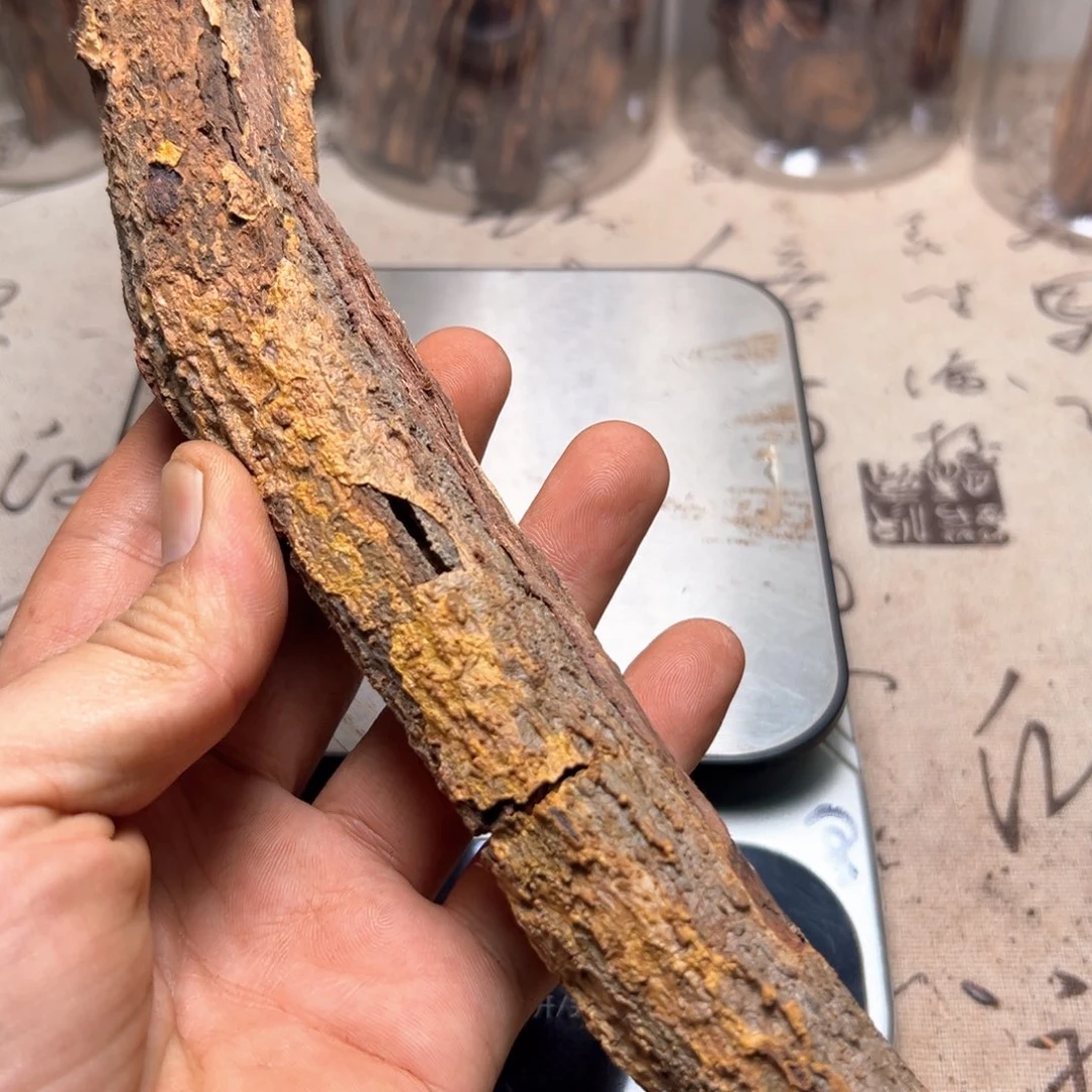 用***6香榧木海南帝王香根部起霜老料160克