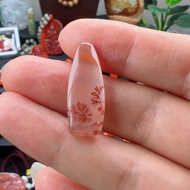 南红玛瑙未镶嵌颈饰