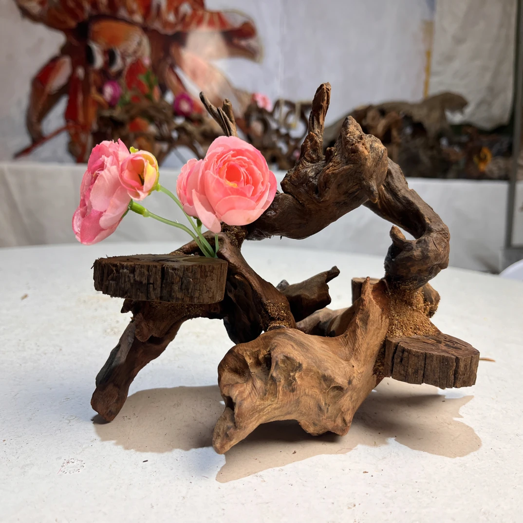 寄居蟹造景沉木尺寸，23.13.15