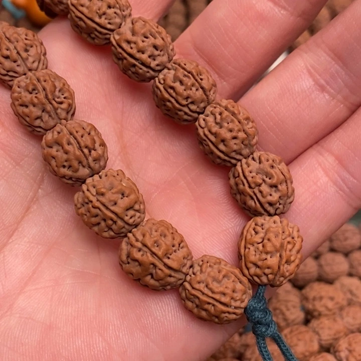 菩提摇*一代盘龙王