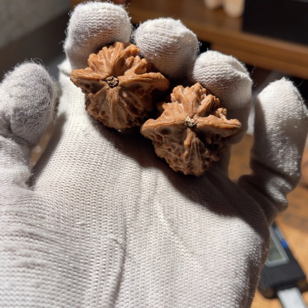 文玩核桃把件33野鸡有磕碰，全品，不退不换