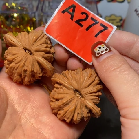 核桃四座楼。     277