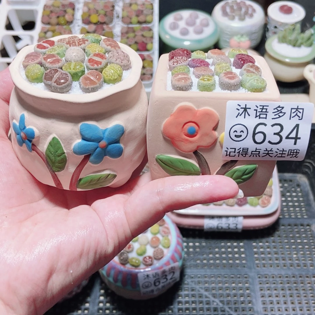 一物一拍 所见即所得 634