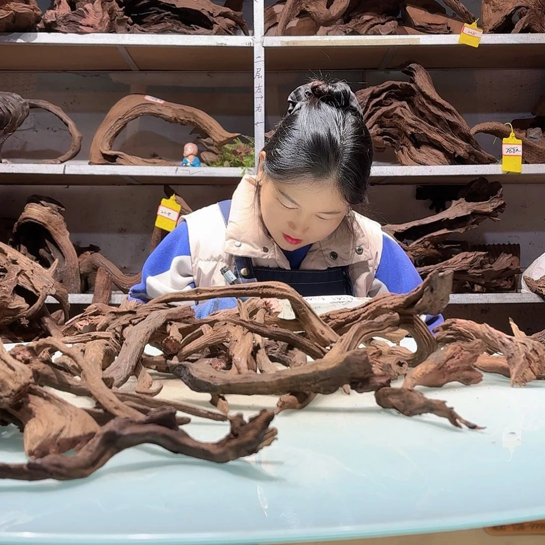 倍褚沉木不包损必褪色若*°6332紫柚枝条