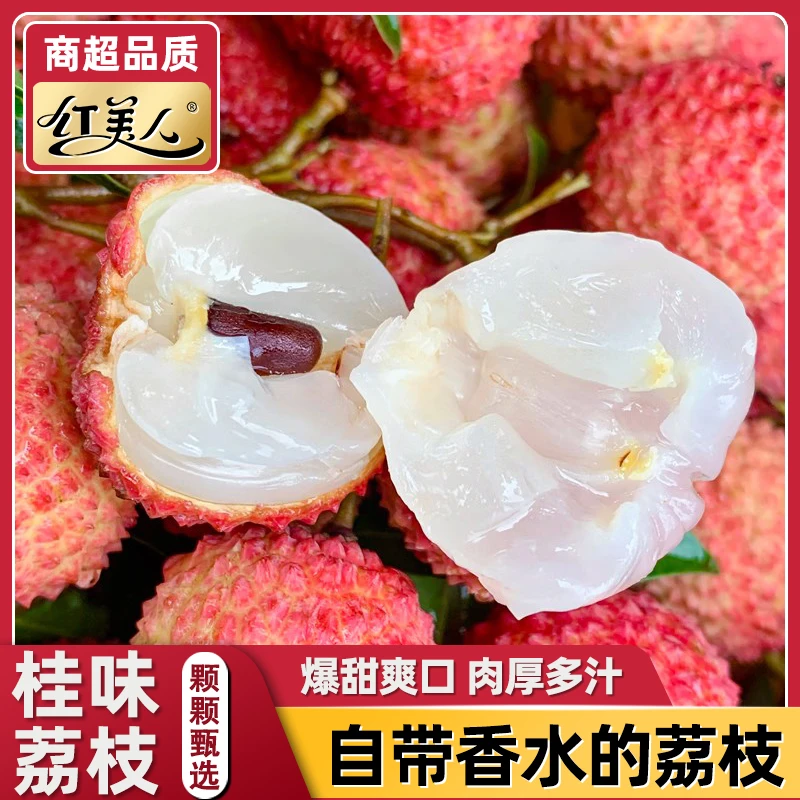 【冷链速运】广西灵山桂味荔枝 当季新鲜现摘老树清甜多汁水果