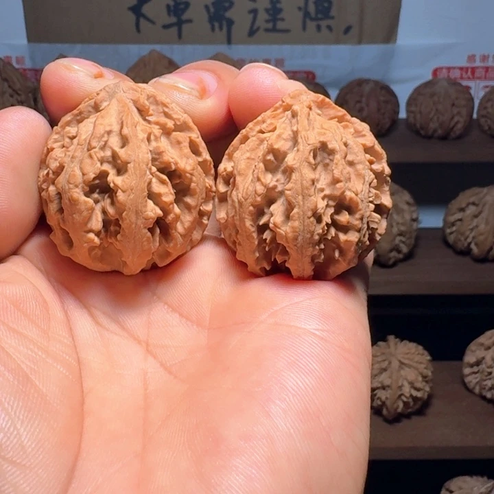 秦岭野生秦岭八棱35福利