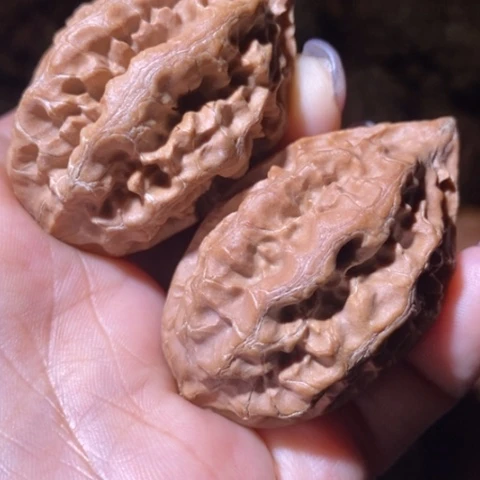 文玩核桃把件东北野生楸子小美125