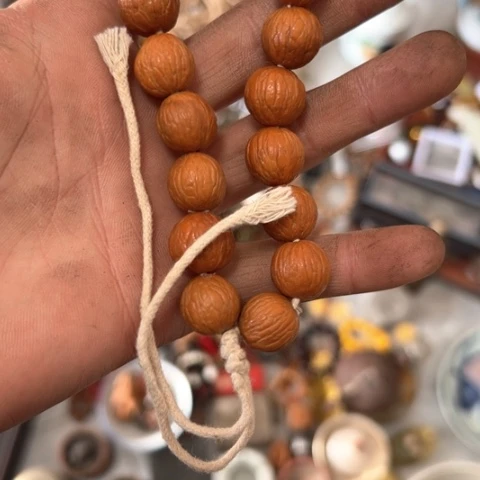 核桃木/黑胡桃（胡桃木）天**帅