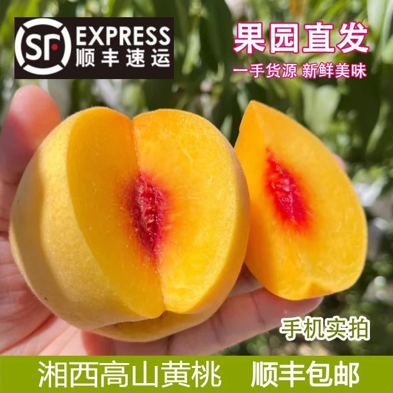 湖南怀化高山露天锦绣黄桃大果新鲜当季整箱脆桃红心怀化黄桃
