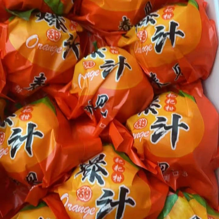 春见粑粑柑中果20一箱净重五斤自提四川省