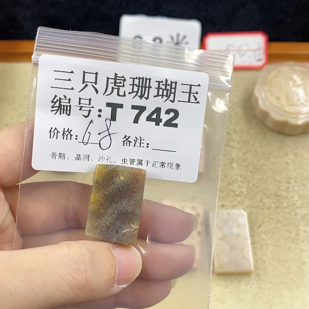 硅化珊瑚（珊瑚玉）1未镶嵌花**岸