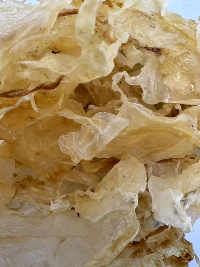[开心滋补精选]斗湖胶 60T