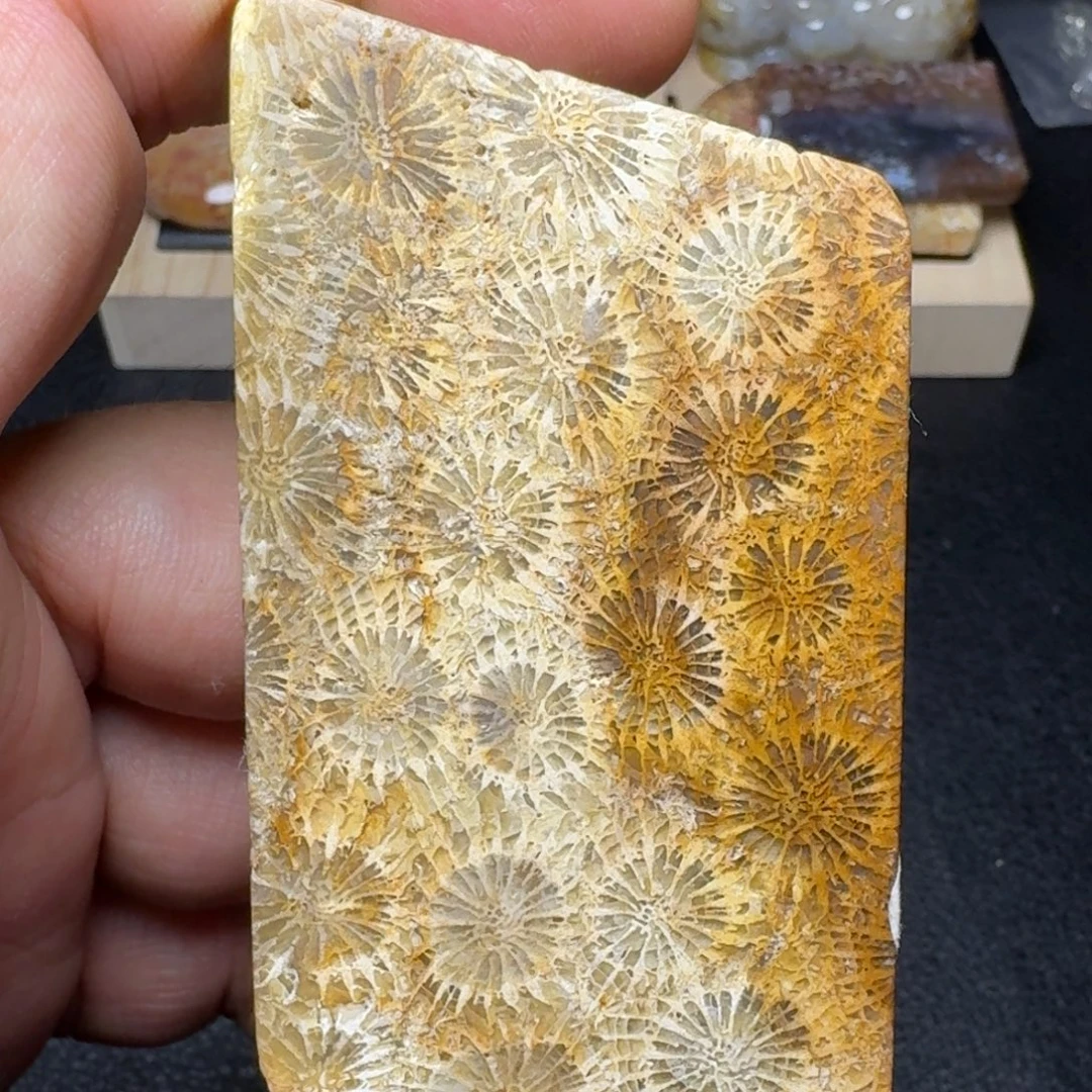 硅化玉未镶嵌纯天然色有机玉石保真色片料