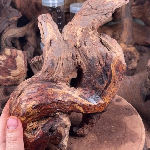 黄花梨/降香黄檀朱*