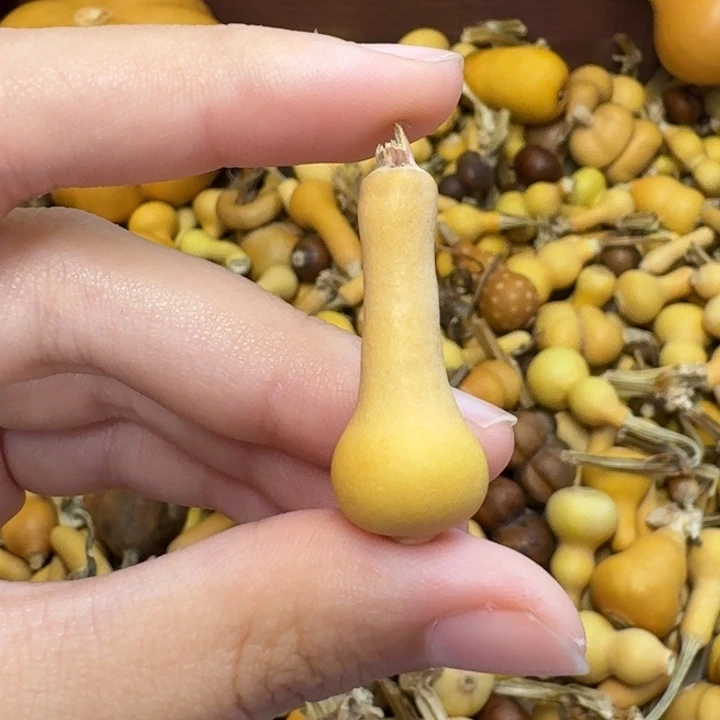 发***奥葫芦葫芦葫芦葫芦