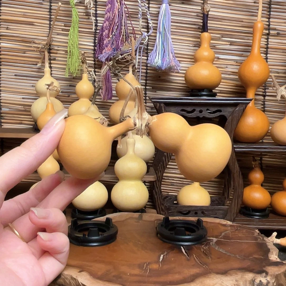 连枝66666666666