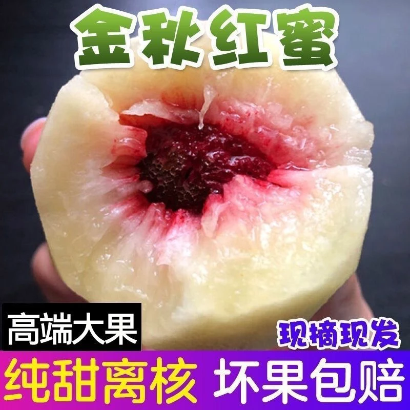 【6-4两果王】冬桃白桃金秋红蜜水蜜桃红心脆甜脱核果园现摘现发