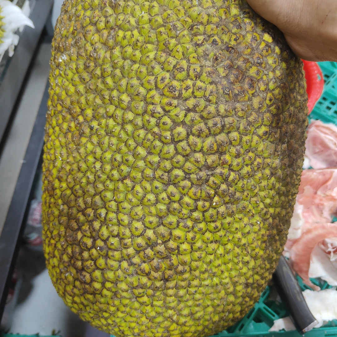 脆甜应季红肉菠萝蜜500g