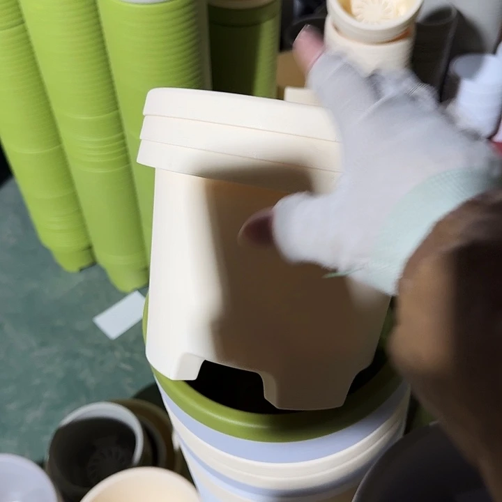 球根21口径6个无托米黄