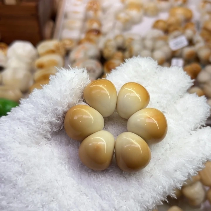 把件菩提根/象牙果28 象牙果原果雕刻炭烧山竹微瑕