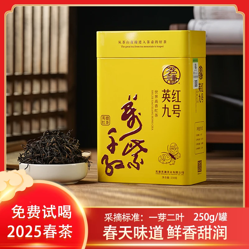 英德红茶2025年春茶英红九号送老师长辈茶叶罐装250g