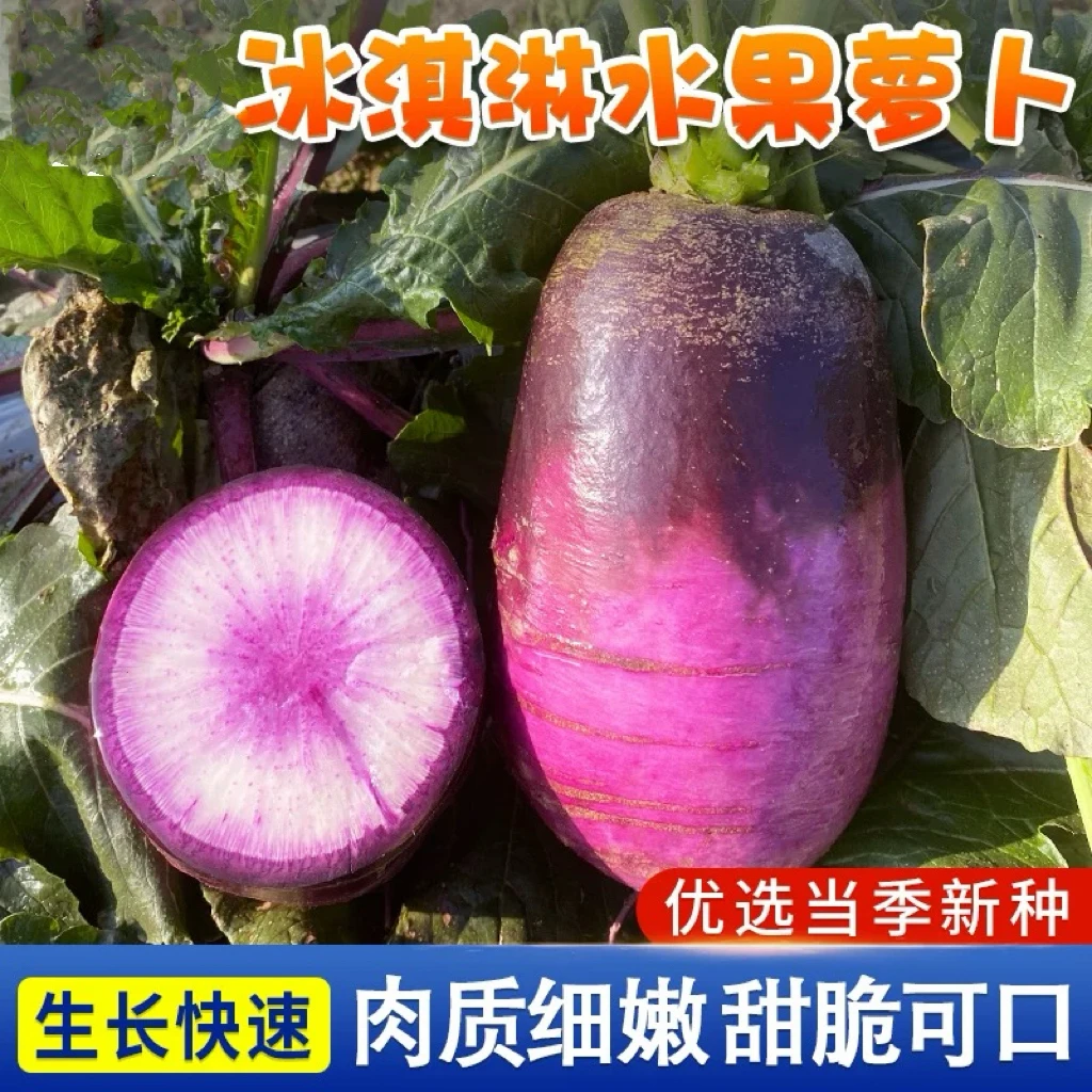【全店任选满5包/包邮】冰淇淋萝卜种子