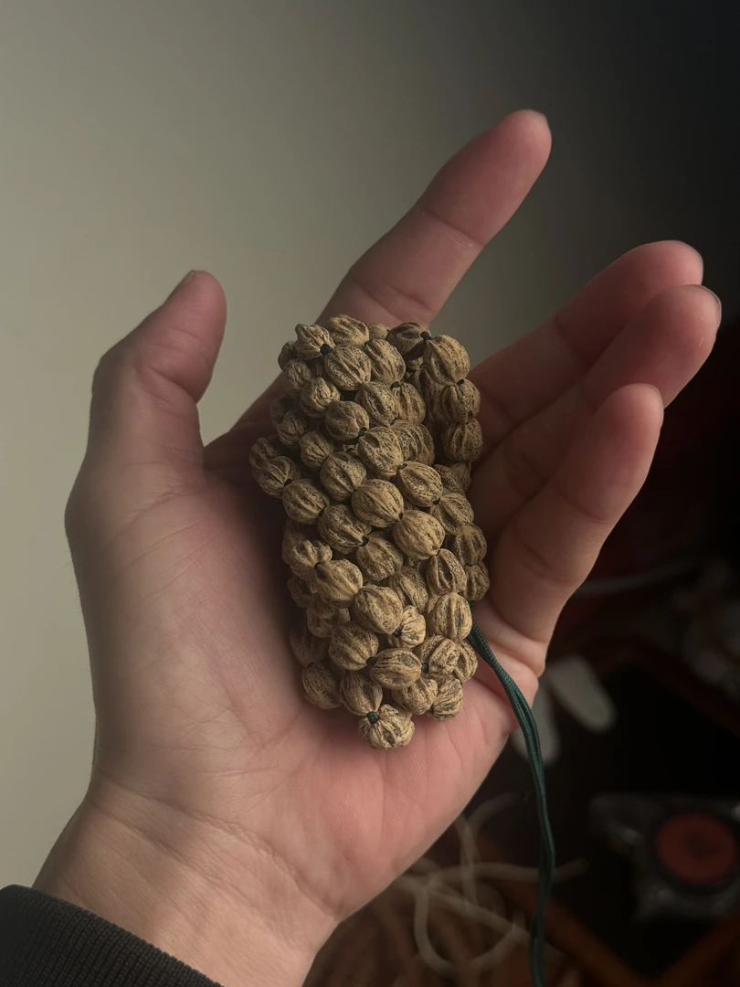 热振柏香籽原桩顺纹鬼脸高桩108